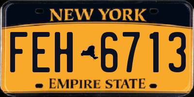 NY license plate FEH6713
