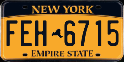 NY license plate FEH6715