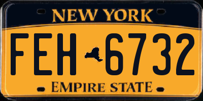 NY license plate FEH6732