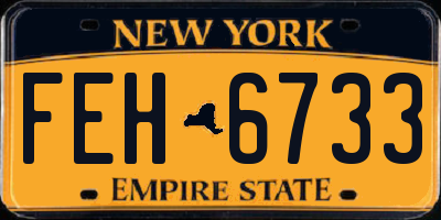 NY license plate FEH6733