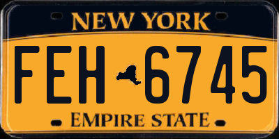 NY license plate FEH6745