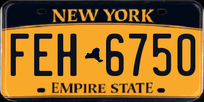 NY license plate FEH6750