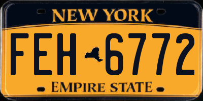 NY license plate FEH6772