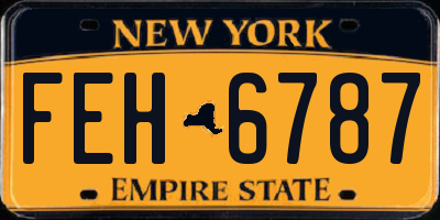 NY license plate FEH6787