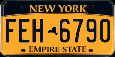 NY license plate FEH6790