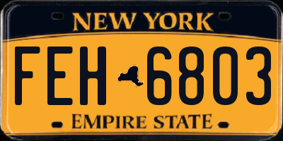 NY license plate FEH6803