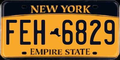 NY license plate FEH6829