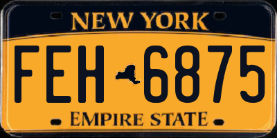NY license plate FEH6875