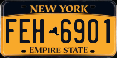 NY license plate FEH6901