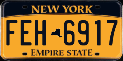 NY license plate FEH6917