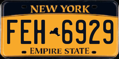 NY license plate FEH6929
