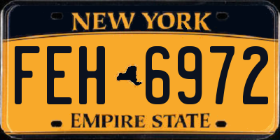 NY license plate FEH6972