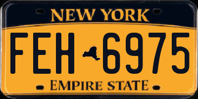 NY license plate FEH6975