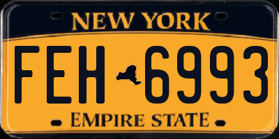 NY license plate FEH6993