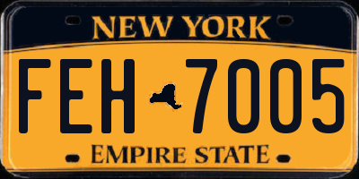 NY license plate FEH7005