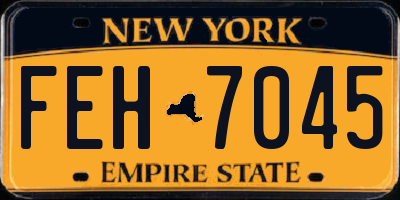 NY license plate FEH7045
