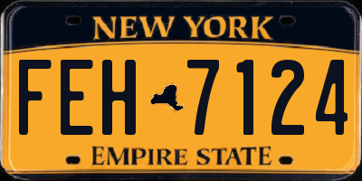 NY license plate FEH7124