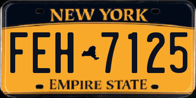 NY license plate FEH7125