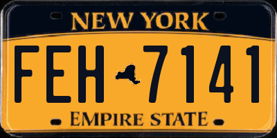 NY license plate FEH7141
