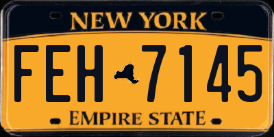 NY license plate FEH7145