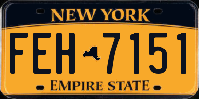 NY license plate FEH7151