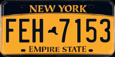 NY license plate FEH7153