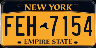 NY license plate FEH7154
