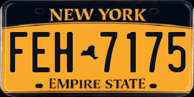 NY license plate FEH7175