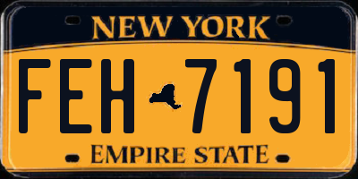 NY license plate FEH7191
