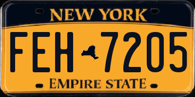 NY license plate FEH7205