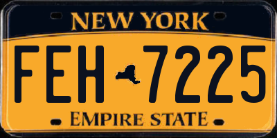 NY license plate FEH7225