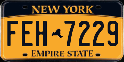 NY license plate FEH7229