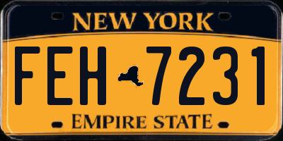 NY license plate FEH7231