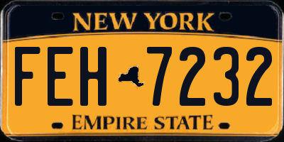 NY license plate FEH7232