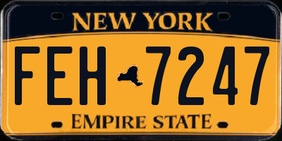 NY license plate FEH7247