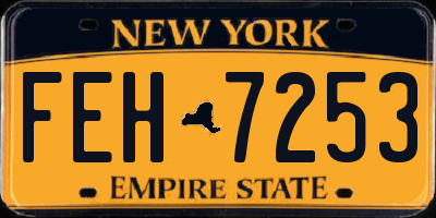 NY license plate FEH7253