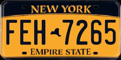 NY license plate FEH7265