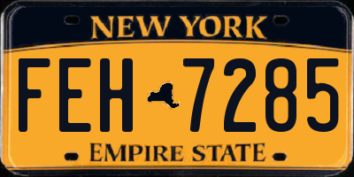 NY license plate FEH7285