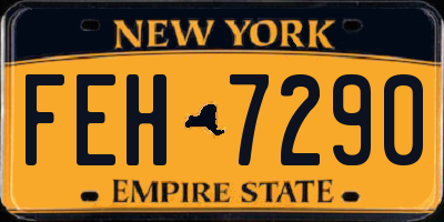 NY license plate FEH7290