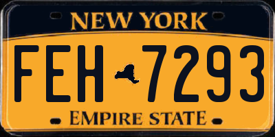 NY license plate FEH7293