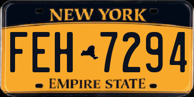 NY license plate FEH7294