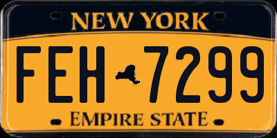 NY license plate FEH7299