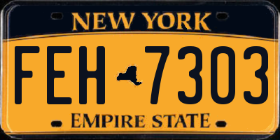 NY license plate FEH7303