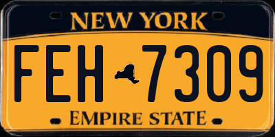 NY license plate FEH7309