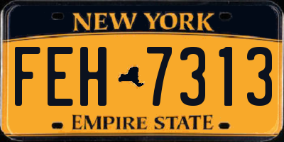NY license plate FEH7313