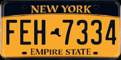NY license plate FEH7334