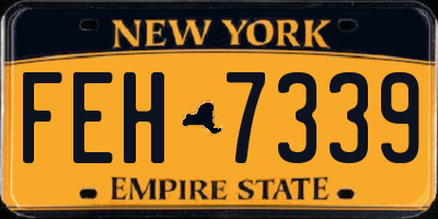 NY license plate FEH7339