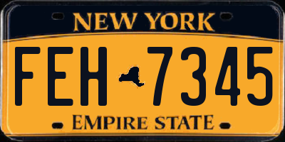 NY license plate FEH7345
