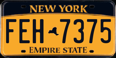 NY license plate FEH7375