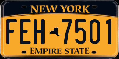 NY license plate FEH7501